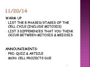Phases of mitosis quiz