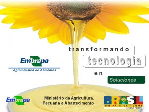 transformando en Soluciones Ministrio da Agricultura Pecuria e