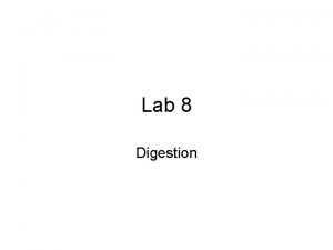 Lab 8 Digestion Lab 8 Digestion Histology Parotid