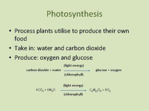 Photosynthesis Process plants utilise to produce their own