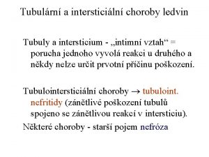 Tubulrn a intersticiln choroby ledvin Tubuly a intersticium