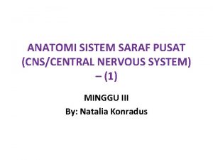 ANATOMI SISTEM SARAF PUSAT CNSCENTRAL NERVOUS SYSTEM 1