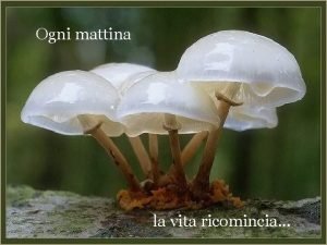 Ogni mattina la vita ricomincia sempre in movimento