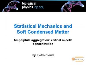 Statistical Mechanics and Soft Condensed Matter Amphiphile aggregation