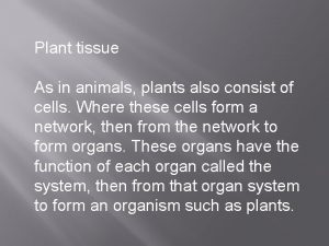 Plant tissue As in animals plants also consist