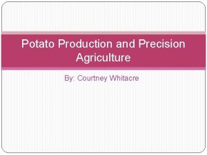 Potato Production and Precision Agriculture By Courtney Whitacre