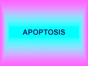 Apoptosis definition biology