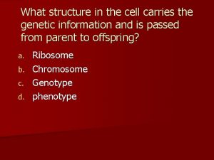 What structure in the cell carries the genetic