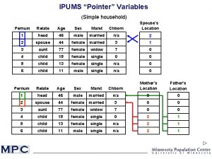 IPUMS Pointer Variables Simple household Pernum Relate Age