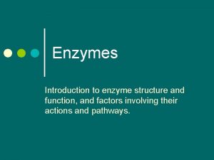 Function of co enzyme