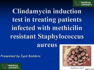 Clindamycin induction test in treating patients infected with