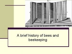 A brief history of bees and beekeeping Presentations