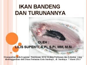 IKAN BANDENG DAN TURUNANNYA OLEH LILIS SUPENTI A