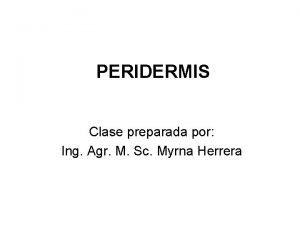 Peridermis de calistemo