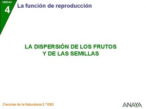 Dispersion de semillas pepinillo del diablo