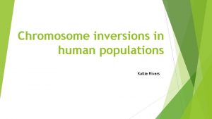 Chromosome inversions in human populations Kallie Rivers What