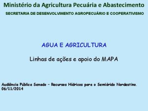 Ministrio da Agricultura Pecuria e Abastecimento SECRETARIA DE