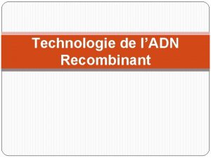 Technologie de lADN Recombinant Enzymes de restriction et