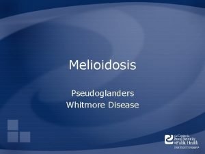Melioidosis Pseudoglanders Whitmore Disease Overview Organism History Epidemiology