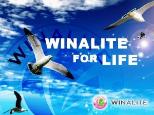 Winalite colombia