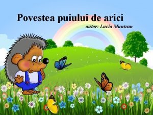 Povestea puiului de arici autor Lucia Muntean Netiind