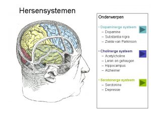 Nigrostriatale systeem