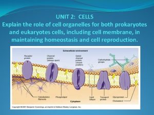 Cellular transport Cellular transport