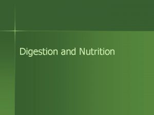 Functions of the large intestine