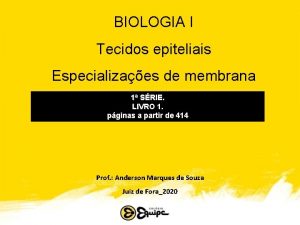 BIOLOGIA I Tecidos epiteliais Especializaes de membrana 1
