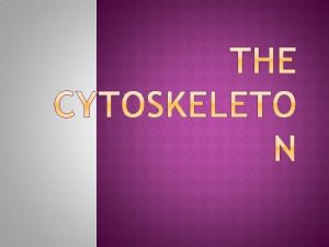 CELL CYTOSKELETON INTRODUCTION The cytoskeleton is a network