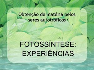 Obteno de matria pelos seres autotrficos FOTOSSNTESE EXPERINCIAS