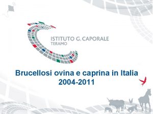 Brucellosi ovina e caprina in Italia 2004 2011
