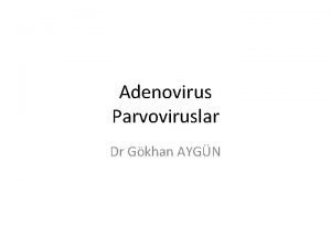 Adenovirus Parvoviruslar Dr Gkhan AYGN Adenoviridae Tek iplikikli