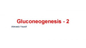 Gluconeogenesis 2 Almoeiz Yousif 2 Conversion of glycerol