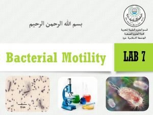 Bacterial Motility v The ability of an organism