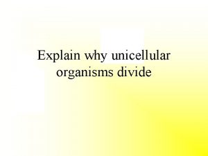 Explain why unicellular organisms divide Unicellular organisms divide