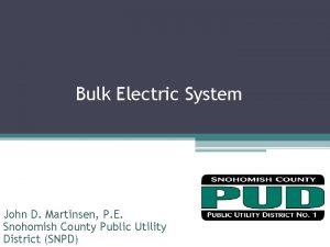 Bulk Electric System John D Martinsen P E