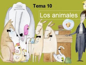 Tema 10 Los animales La clasificacin de los