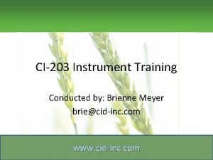 CI203 Instrument Training Conducted by Brienne Meyer briecidinc