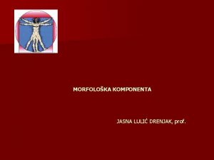 MORFOLOKA KOMPONENTA JASNA LULI DRENJAK prof MJERE DIMENZIJA