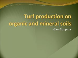 Turf production on organic and mineral soils Glen