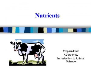 Nutrients Prepared for ADVS 1110 Introduction to Animal