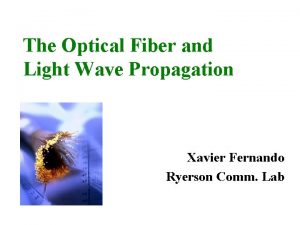Skew rays in optical fiber