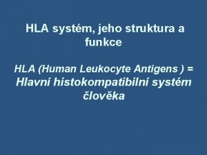 HLA systm jeho struktura a funkce HLA Human