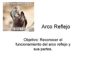 Funcionamiento del arco reflejo