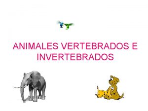 ANIMALES VERTEBRADOS E INVERTEBRADOS Resuelve la siguiente actividad