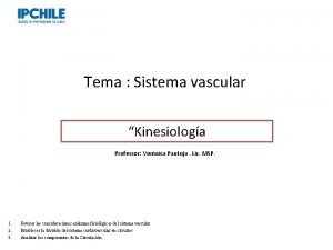 Tema Sistema vascular Kinesiologa Professor Vernica Pantoja Lic