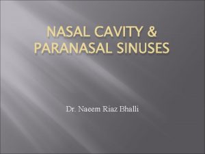 NASAL CAVITY PARANASAL SINUSES Dr Naeem Riaz Bhalli