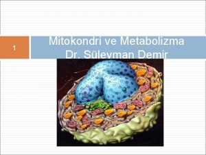 1 Mitokondri ve Metabolizma Dr Sleyman Demir ELEKTRON