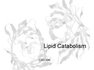 Lipid Catabolism CH 339 K Fats are stored